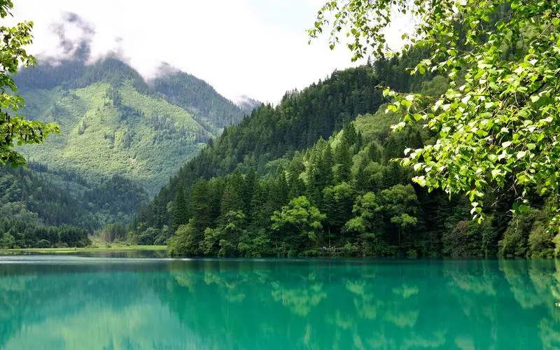 数字化智能系统创新